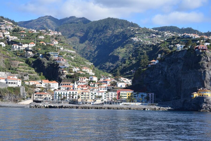Madeira: Whale and Dolphin Watching Private Cruise - A realistic look at the wildlife promise