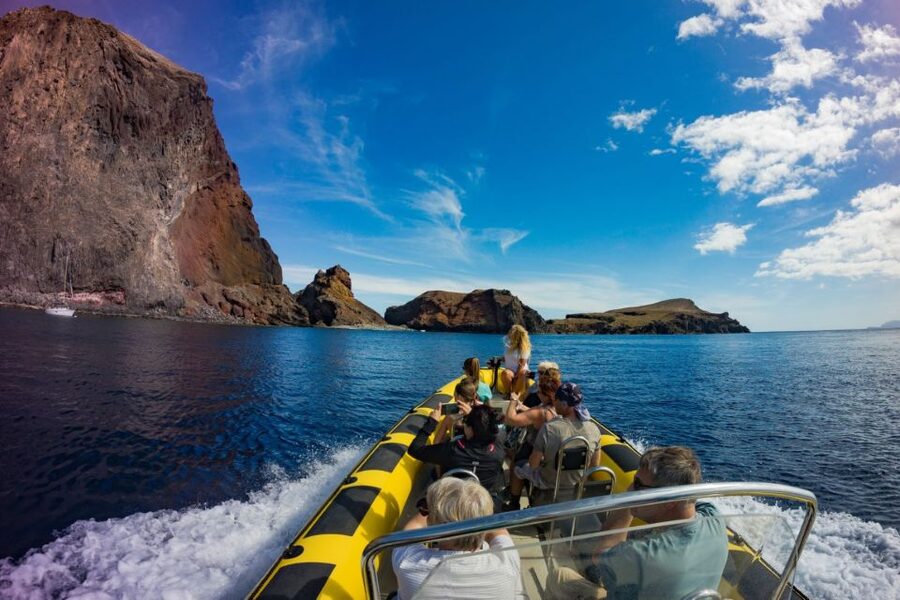 Madeira: Whale and Dolphin Watching Tour - Key points at a glance