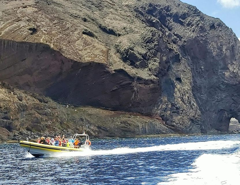 Madeira: Whale and Dolphin Watching Tour - Practical advice before you go