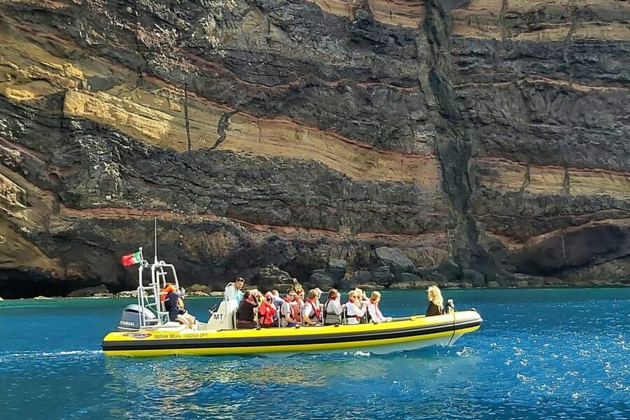 Madeira: Whale and Dolphin Watching Tour - Searching for dolphins, whales, and turtles