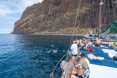 Whales and Dolphins wooden boat excursion