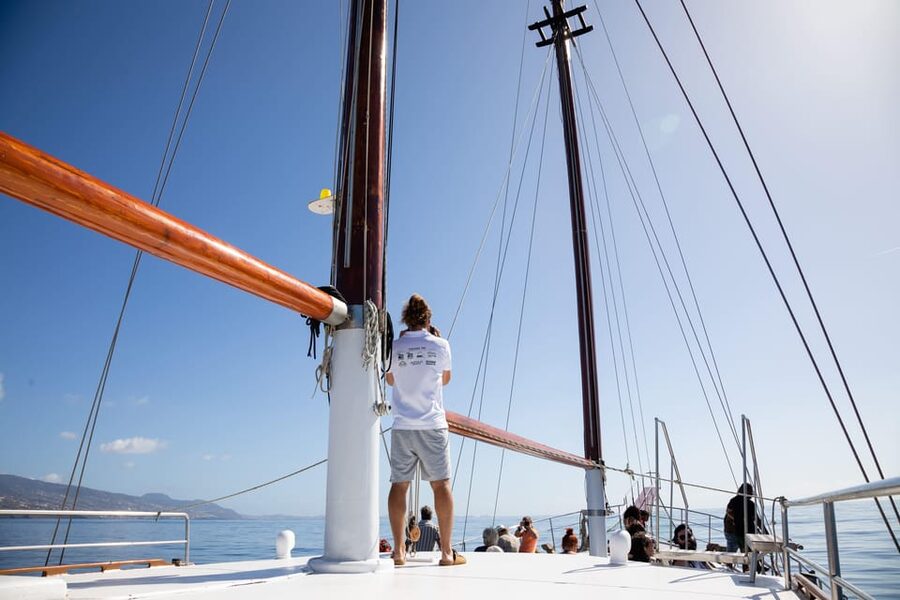 Madeira : Whales and Dolphins wooden boat excursion - Cabo Girão, the possible swimming stop