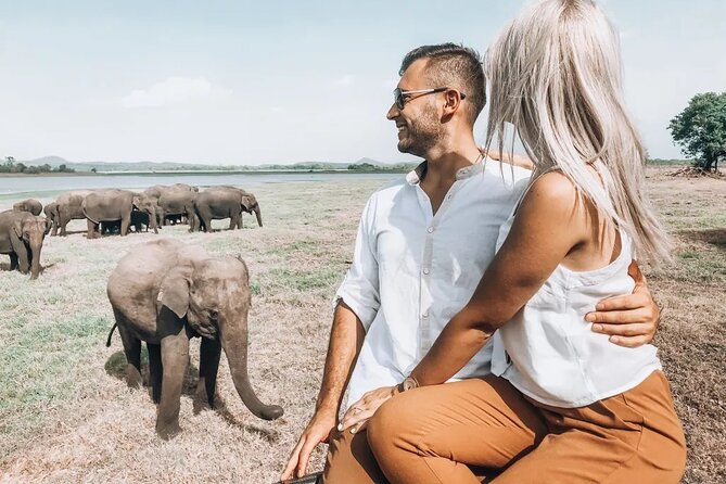 Majestic Mammals Of Sri Lanka: Whale & Elephant Safari Tour - Mirissa harbor and the private speedboat