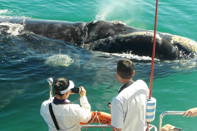 Majestic Mammals Of Sri Lanka: Whale & Elephant Safari Tour - Udawalawe National Park by private jeep