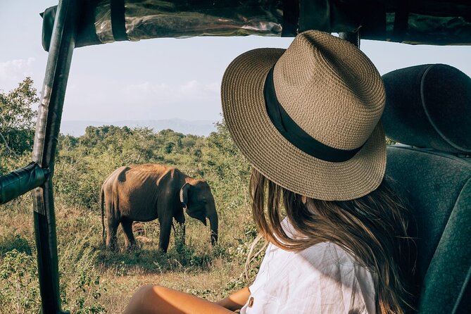 Majestic Mammals Of Sri Lanka: Whale & Elephant Safari Tour - Practical details that matter on the day