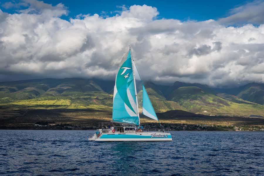 Maui: Kaanapali Whale Watching Boat with Open Bar and Food - Gourmet pupus and an open bar at sea