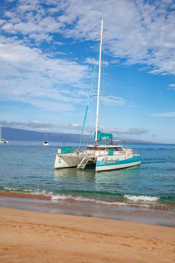 Maui: Kaanapali Whale Watching Boat with Open Bar and Food - What the $167 price really covers