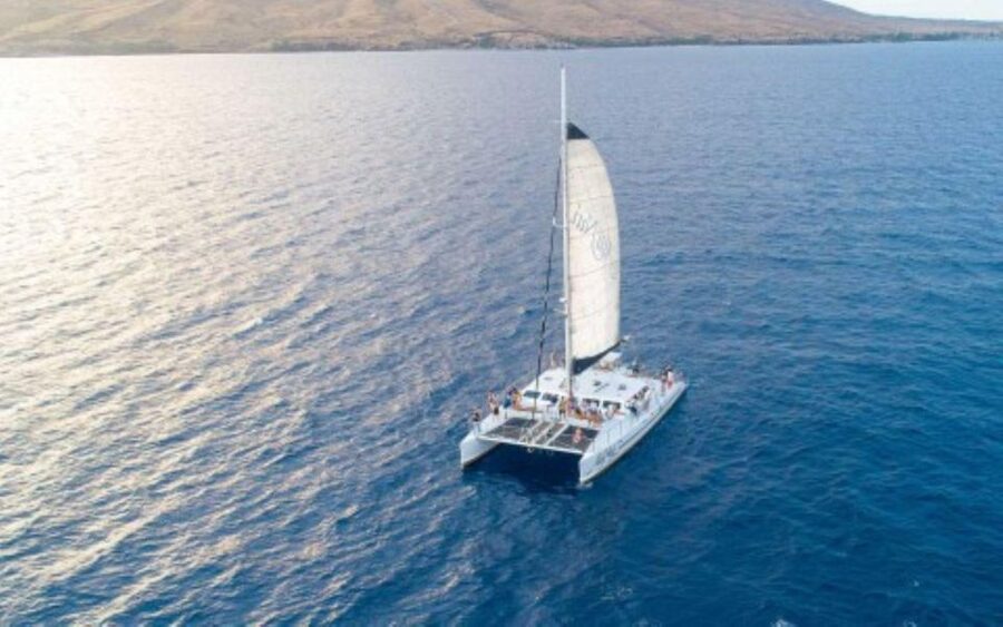 Maui: Luxury Catamaran Whale Watch & Sail - Key things to know before you book