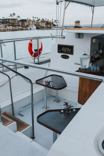 Maui: Luxury Catamaran Whale Watch & Sail - Who will get the most from this whale watch