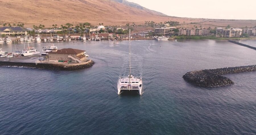 Maui: Luxury Catamaran Whale Watch & Sail - Two hours devoted to whales, not snorkeling