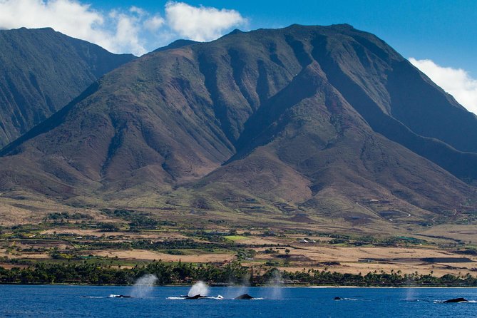Maui Premium Sunset Dinner Cruise & Whale Watch - Sunset views toward Lana‘i and Moloka‘i