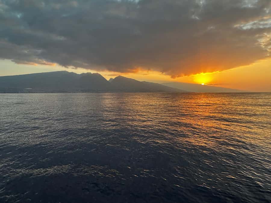 Maui: Sunrise Whale Watch - The local connection
