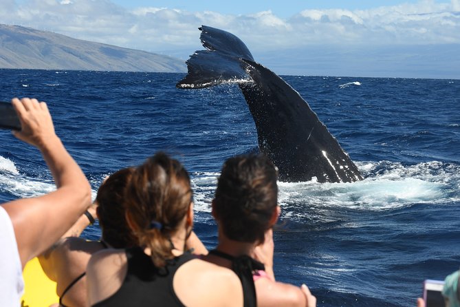 Maui: Ultimate Whale Watch from Lahaina - Choosing between the 1.5-hour and 2-hour trips