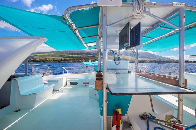 Maui: Whale Watching Cruise with Open Bar from Ka'anapali Beach - Who will enjoy this cruise most?