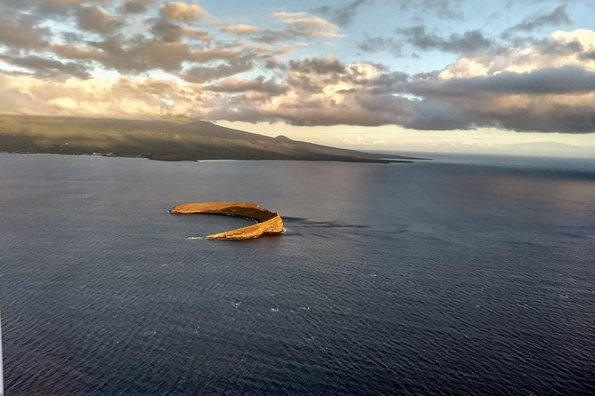 Maui Whale Watching -PRIVATE- Air Tour: (2-5 People): SEE WHALES! - What the whale sightings look like from the air