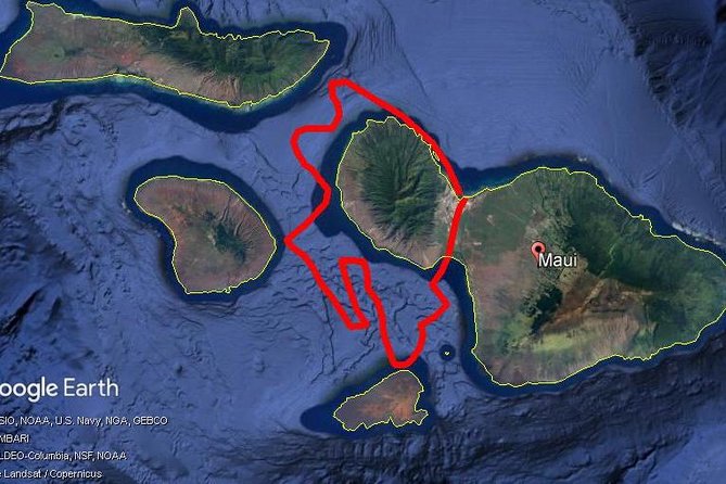 Maui Whale Watching -PRIVATE- Air Tour: (2-5 People): SEE WHALES! - One hour, private space, and the $420 price