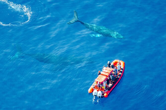 Maui Whale-Watching Tour by Raft from Kihei - Heading past Wailea and Keawakapu Beach