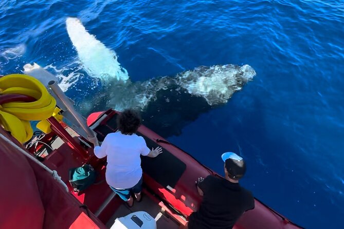 Maui Whale-Watching Tour by Raft from Kihei - Kihei Boat Ramp: the simple start