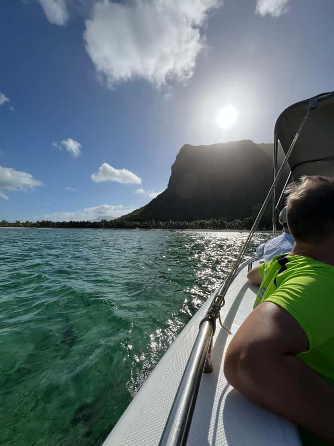 Mauritius Eco Whales Quest, 3-4 hours Expedition - Key points to know before booking