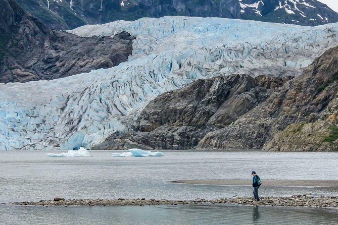 Mendenhall Glacier Visitor Center and Ultimate Whale Watch Combo - Timing problems and how to protect your day