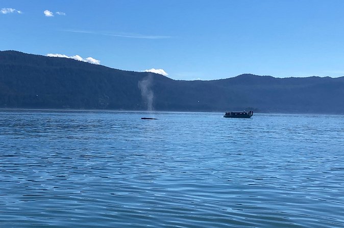 Mendenhall Glacier Waterfall and Whale Watching Tour - What to expect at Mendenhall Glacier Visitor Center