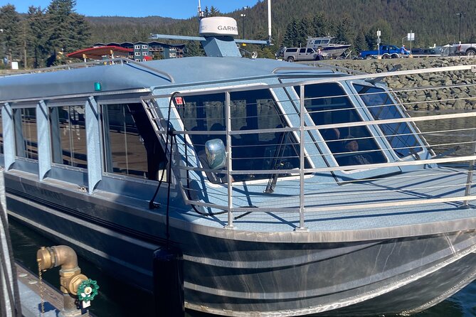 Mendenhall Glacier Waterfall and Whale Watching Tour - Searching Auke Bay for whales