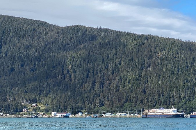 Mendenhall Glacier Waterfall and Whale Watching Tour - Who will get the most from this tour