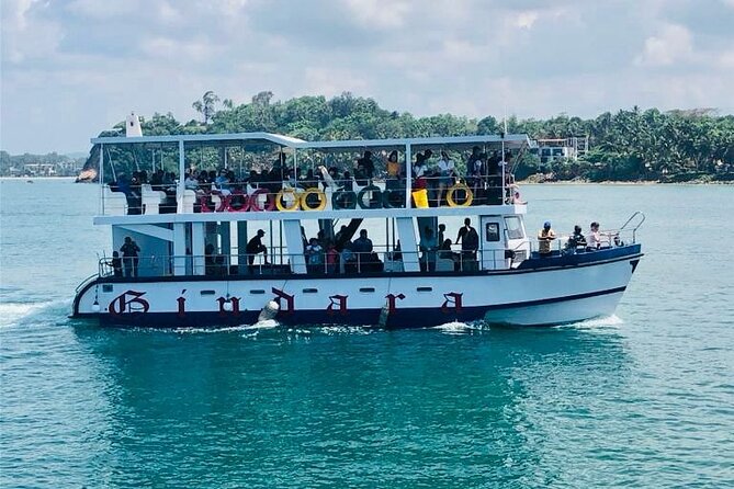 Mirissa Whale & Dolphin Watching Cruise with Geeth’s Crew - A 7:00 AM Start at Mirissa Fisheries Harbour