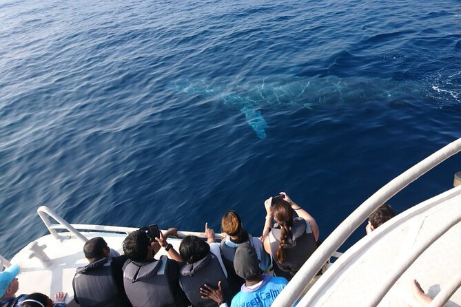Mirissa Whale & Dolphin Watching Cruise with Geeth’s Crew - Geeth’s Crew and the Value of Local Experience