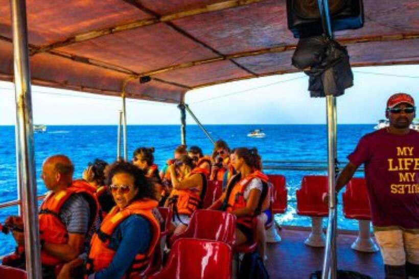 Mirissa: Whale Watching Cruise - Key points to know before you go