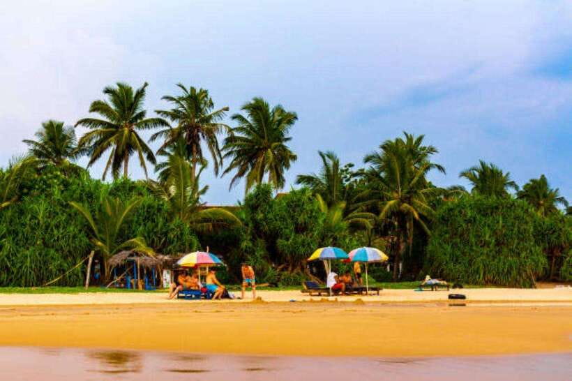 Mirissa: Whale Watching Cruise - Snorkeling is possible, but it is not part of the base price