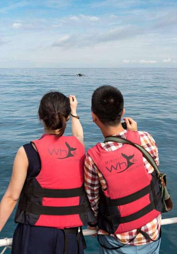 Mirissa: Whale Watching Cruise - Practical ways to get more from the experience