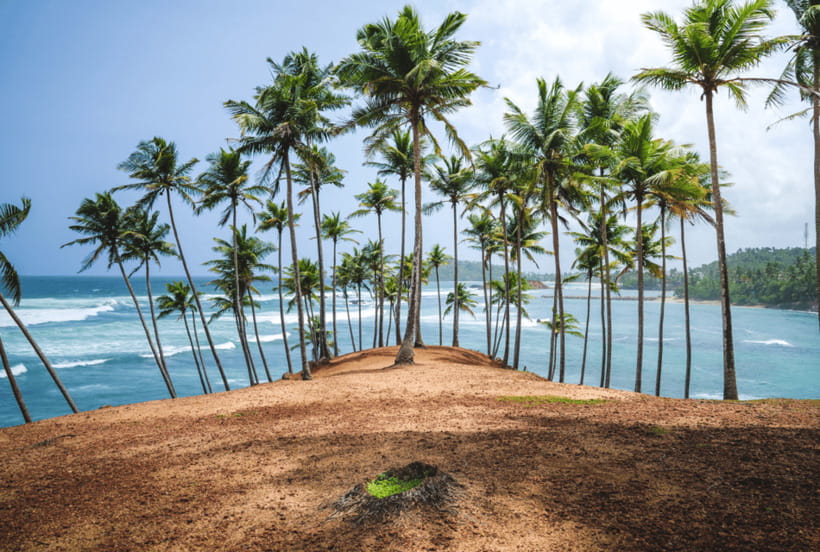 Mirissa: Whale Watching, Snorkeling, and Coconut Hill Tour - Timing, fitness, and weather matter