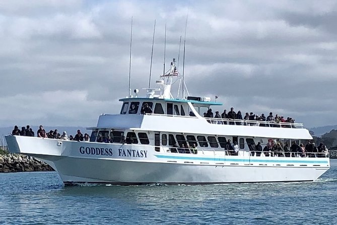 Monterey Bay Whale Watching - Why Moss Landing gives this tour a strong start