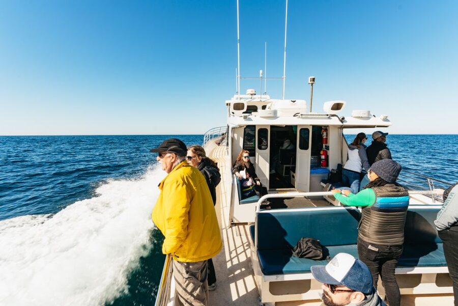 Monterey Bay: Whale Watching Tour - Key points to know before you book