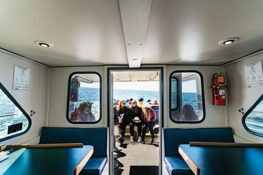Monterey Bay: Whale Watching Tour - Winter: migrating gray whales and a different rhythm