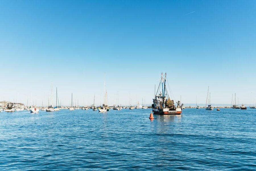 Monterey Bay: Whale Watching Tour - The guide makes the difference