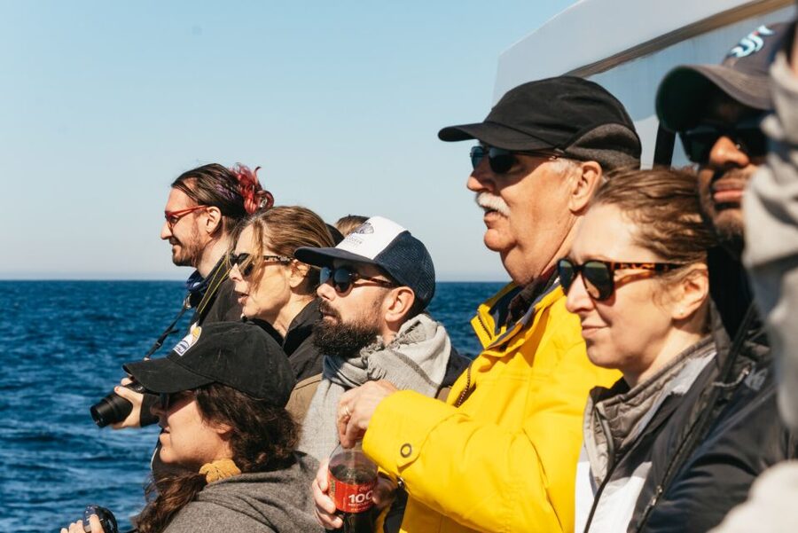 Monterey Bay: Whale Watching Tour - Wildlife beyond the whales