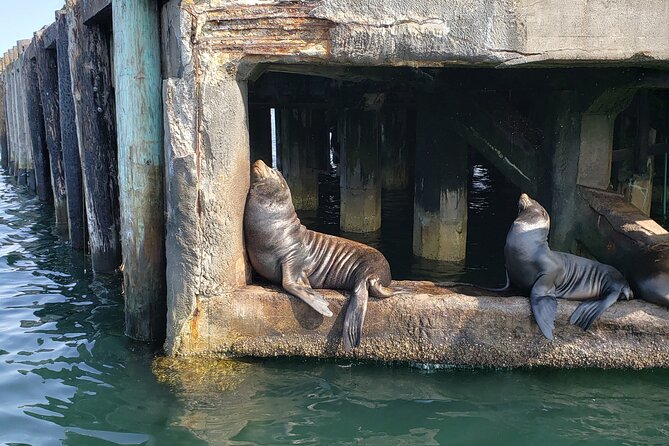 Monterey Private 3 - 4 Hour Whale Watching Cruise - Cannery Row from the water