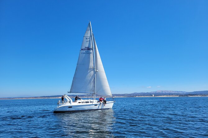 Monterey Private 3 - 4 Hour Whale Watching Cruise - What the private format means for families
