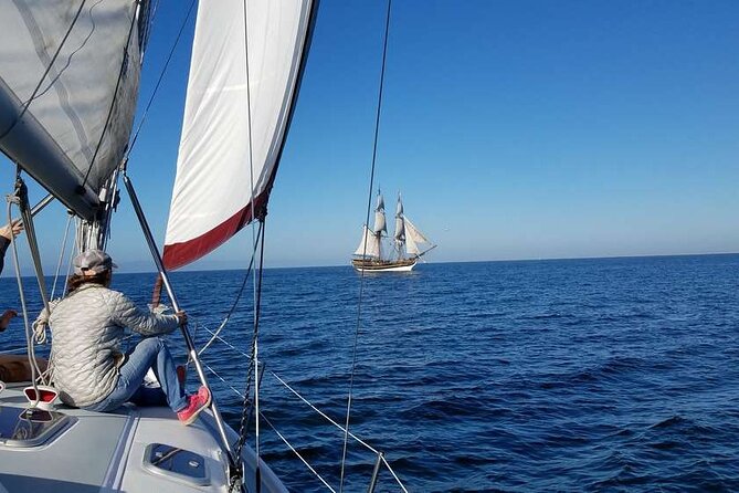 Monterey Private 3 - 4 Hour Whale Watching Cruise - Price, value, and what you are really buying