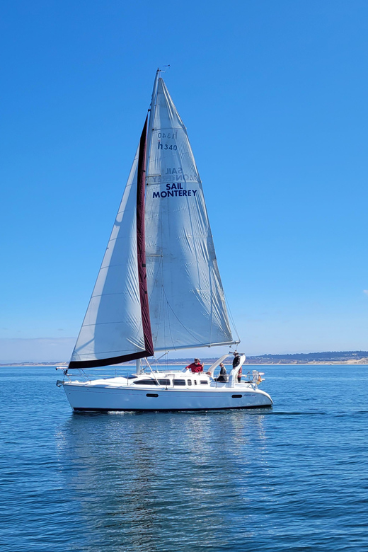 Monterey: Private Whale Watching/Sailing Tour for 6 - Key points before you book