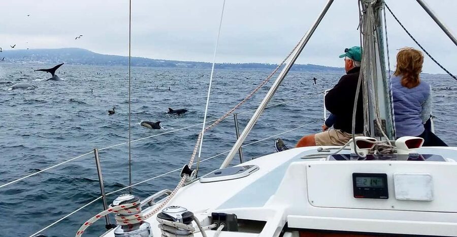 Monterey: Private Whale Watching/Sailing Tour for 6 - Leaving the harbor for open water
