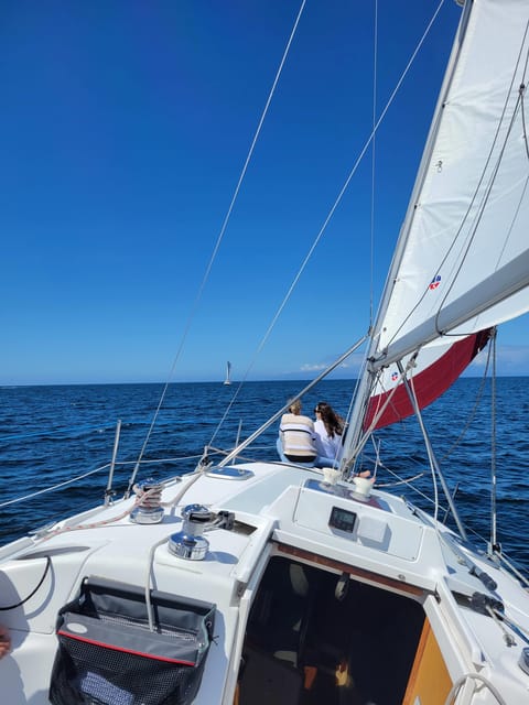 Monterey: Private Whale Watching/Sailing Tour for 6 - The practical rhythm of the outing