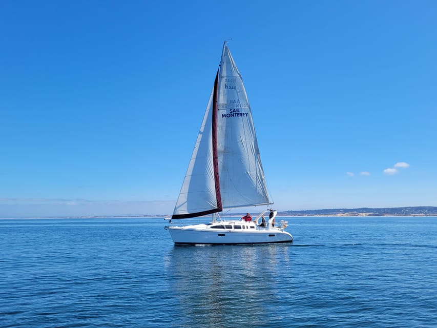 Monterey: Private Whale Watching/Sailing Tour for 6 - Starting at Old Fisherman’s Wharf