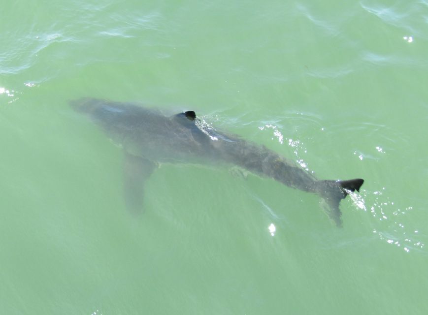 Monterey: Whale Watching Cruise - Handling the motion, wind, and comfort