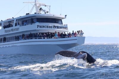 Monterey Whale Watching Tour