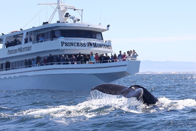 Monterey Whale Watching Tour - Leaving Fisherman’s Wharf on a large boat