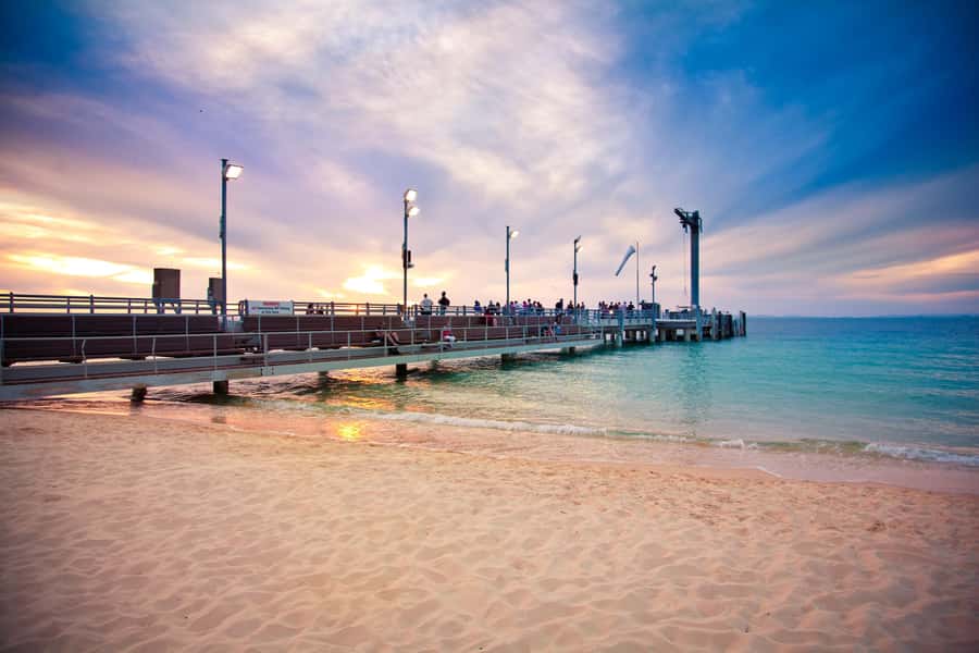 Moreton Island: Tangalooma Whale Watching & Dolphin Feeding - What happens if weather changes the dolphin contact