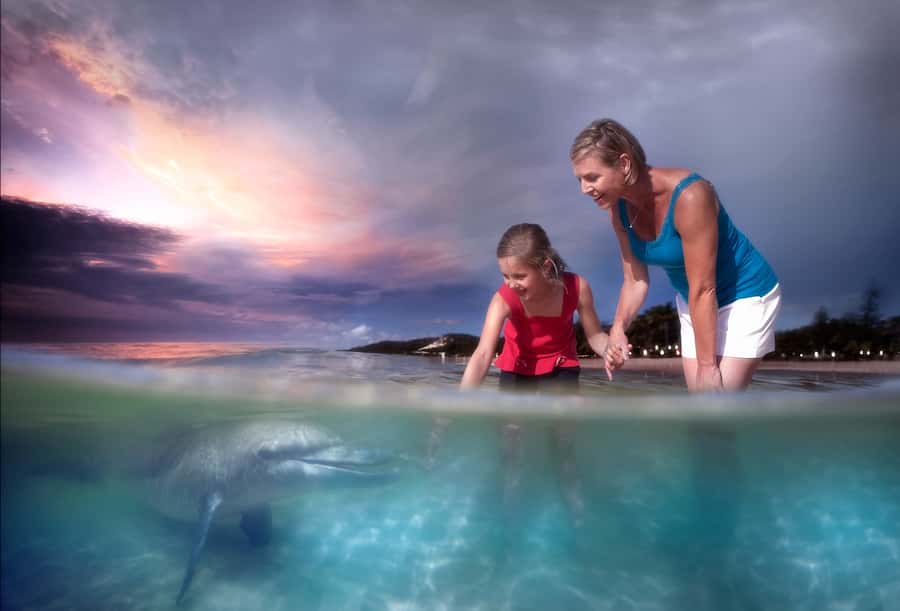 Moreton Island: Tangalooma Whale Watching & Dolphin Feeding - Is $162 good value?